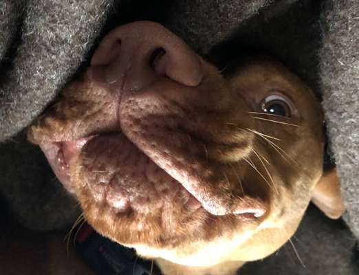 Fotochallenge Nr.122-Beitrag-Bild