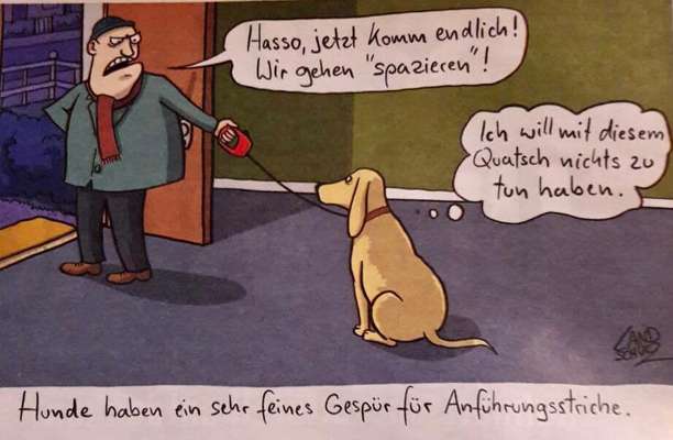 Hier ist der Spaßthread. Zum Schmunzeln und Kaputtlachen-Beitrag-Bild