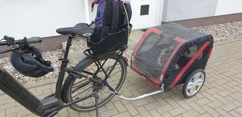 Französische Bulldoggen-Beitrag-Bild