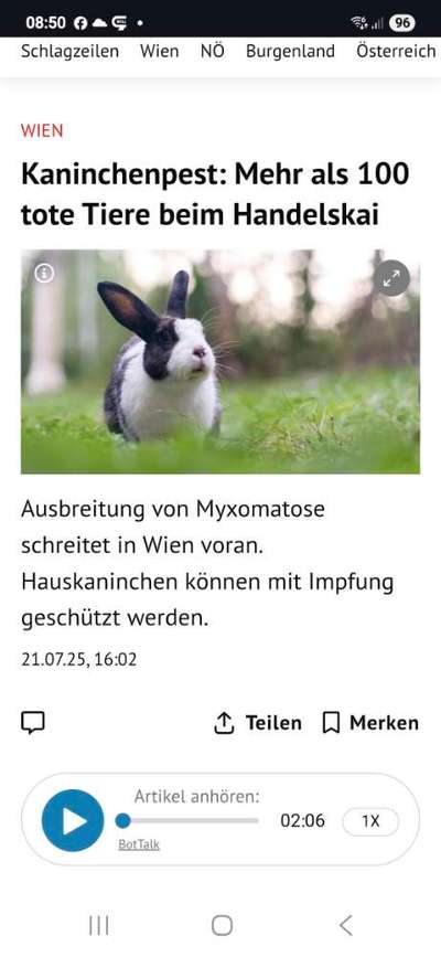 Giftköder-Hasenpest in Niederösterreich und Wien-Bild