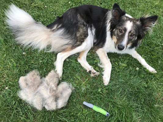 So viele Haare - ist das normal?-Beitrag-Bild