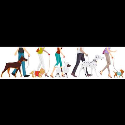 Hundetreffen-Social Walk-Bild