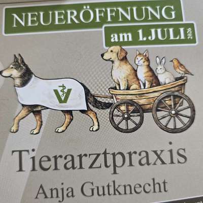 Tierärzte-Kleintierzentrum am Schmelzbach-Bild