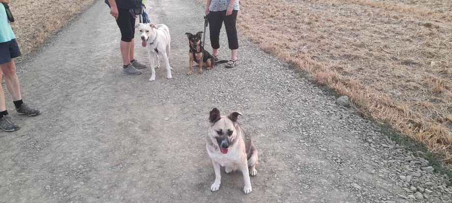 Handy-Foto-Challange Nr. 8-Beitrag-Bild