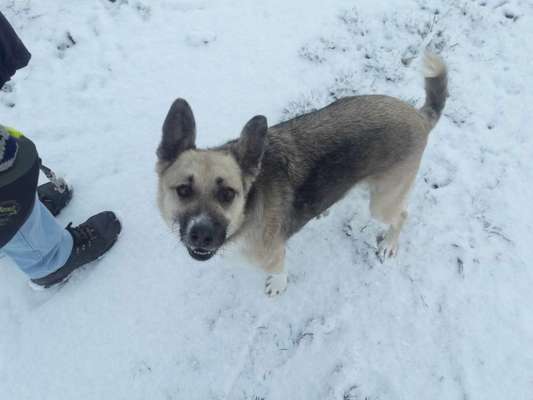 Handy-Foto-Challange Nr.9-Beitrag-Bild