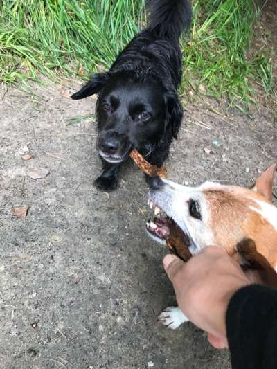 Theos Fotochallenge Nr. 3-Beitrag-Bild