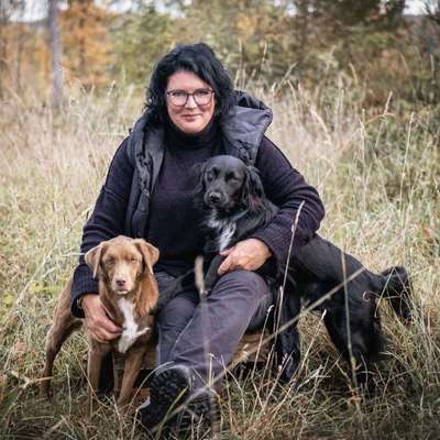 Hundetreffen-Gemütliche Gassirunde nach Absprache