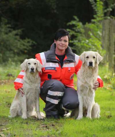 Golden Retriever-Beitrag-Bild