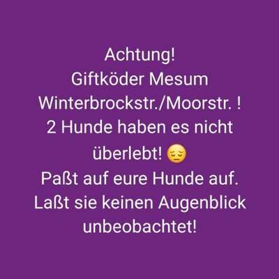 Giftköder-Giftköder-Bild