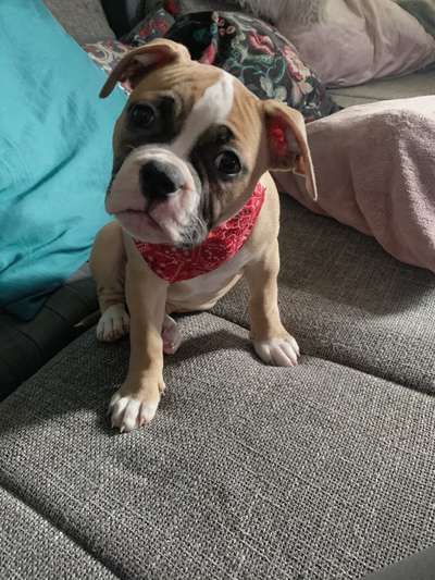 Sie werden so schnell erwachsen ...-Beitrag-Bild