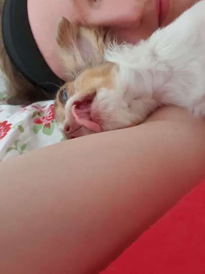 Lieblings Schnappschuss?-Beitrag-Bild