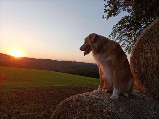 Fotochallenge Nr. 67: Euer Lieblingsbild-Beitrag-Bild