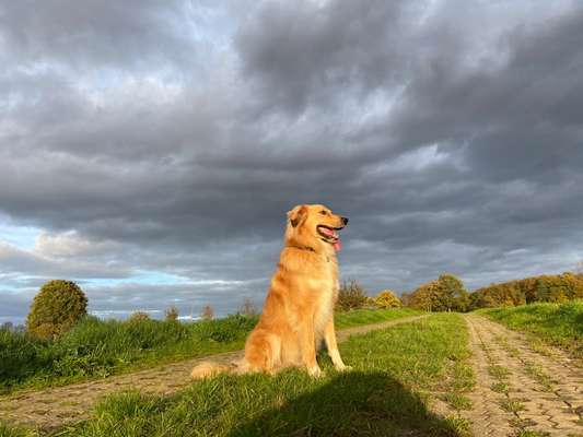 30. Collagen Challenge - Wege/Straßen-Beitrag-Bild