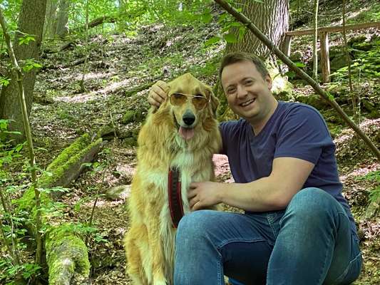 Dogorama Photo Challenge - Durchblick-Beitrag-Bild