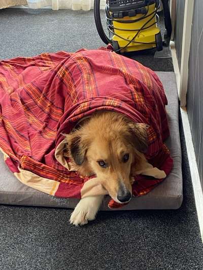 32. Farben Challenge  ** ( BUNTE ) STREIFEN **-Beitrag-Bild