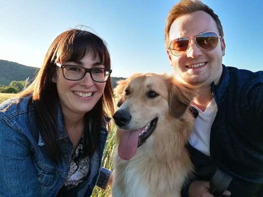 38. Collagen Challenge - "Waschlappen"-Beitrag-Bild