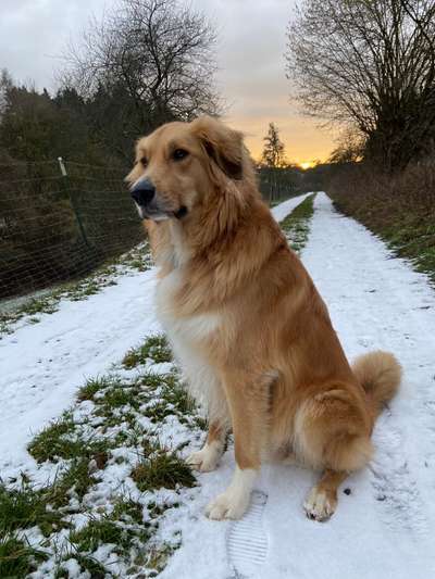 30. Collagen Challenge - Wege/Straßen-Beitrag-Bild