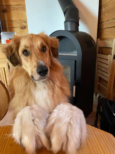 53. Collage Challenge - Verschiedene Blickwinkel-Beitrag-Bild