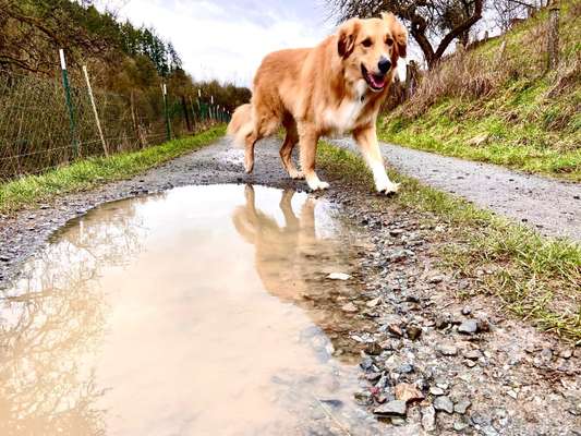 30. Collagen Challenge - Wege/Straßen-Beitrag-Bild