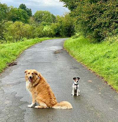 155. FotoChallange * David und Goliath *-Beitrag-Bild