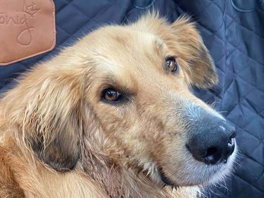 150. Foto Challaenge:  Die Augen, der Spiegel der Seele-Beitrag-Bild