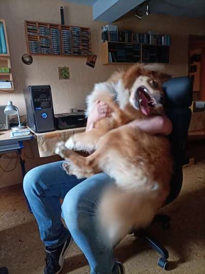 Die Dogorama-Wochen-Challenge "Die schönste Grimasse"-Beitrag-Bild