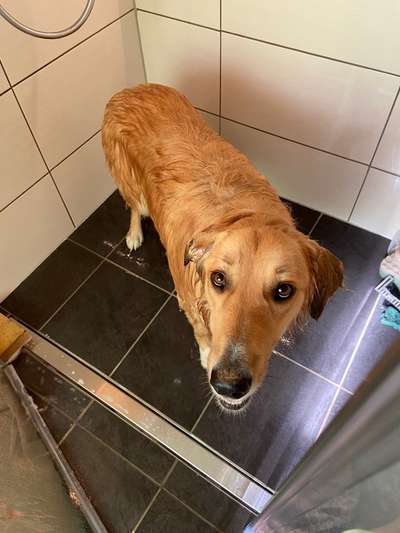 Fotochallenge 128-Beitrag-Bild