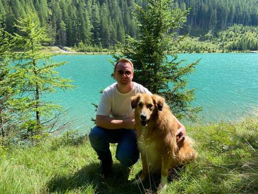 52. Collagenchallenge: Dein Hund im Sonnenschein-Beitrag-Bild