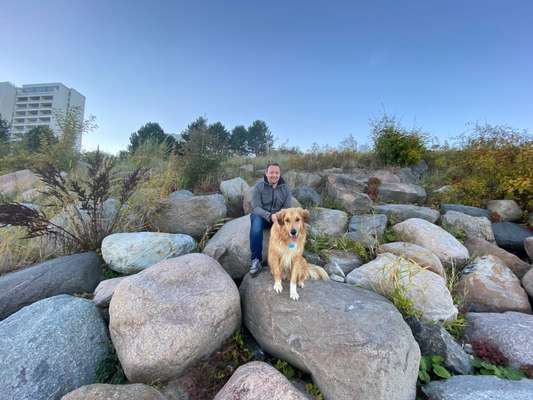 31. Collagen Challenge - Bänke/ Steine /Baumstümpfe-Beitrag-Bild