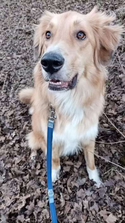 Lieblingsbild :D-Beitrag-Bild