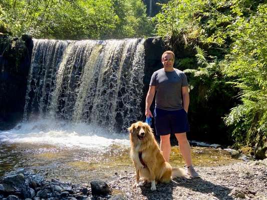 51.Collagen Challenge: Wasserhunde-Beitrag-Bild