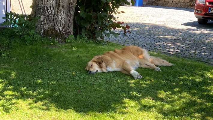 140. Foto Challenge - schattiges Plätzchen-Beitrag-Bild