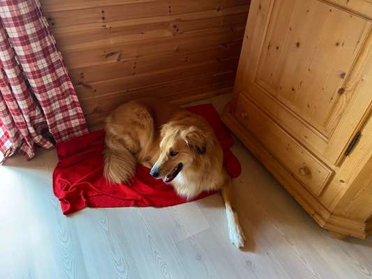 53. Collage Challenge - Verschiedene Blickwinkel-Beitrag-Bild