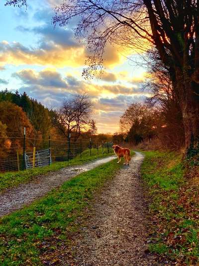 18. Farben Fotochallenge: Sonnenuntergang-Beitrag-Bild