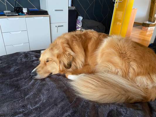 65. Handy Foto Challange                     "Ich kann nicht ohne..."-Beitrag-Bild