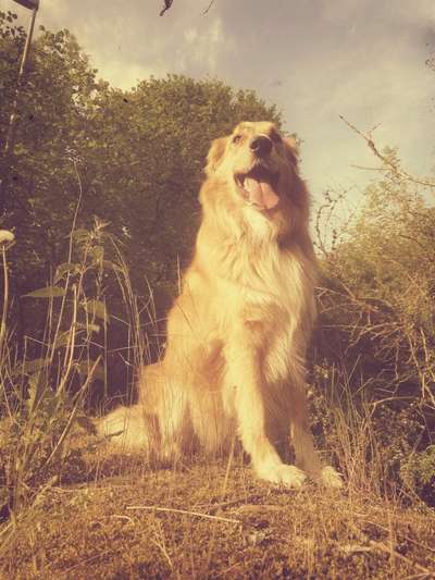 FarbenFoto - Challenge: Sepia-Beitrag-Bild