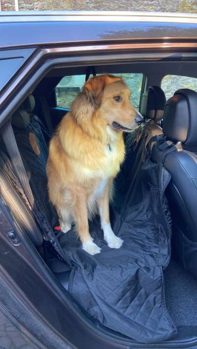 141. FOTO CHALLENGE 
Reisende soll man nicht aufhalten-Beitrag-Bild