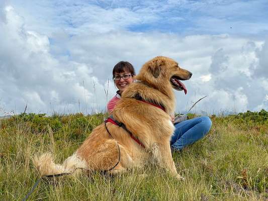 156. Fotochallenge *** DEIN HUND UND DIE WUNDERSCHÖNEN WOLKEN ***-Beitrag-Bild