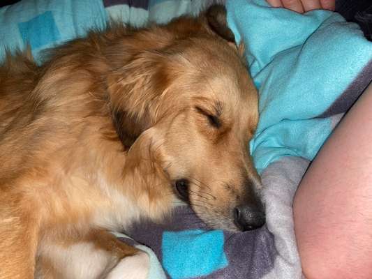 Foto Challenge Nr. 134-Beitrag-Bild