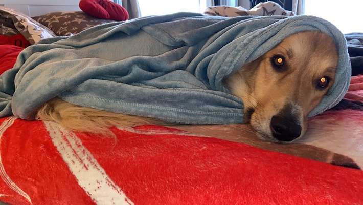 80. Foto  Challenge - Versteckt/ in einer Höhle-Beitrag-Bild