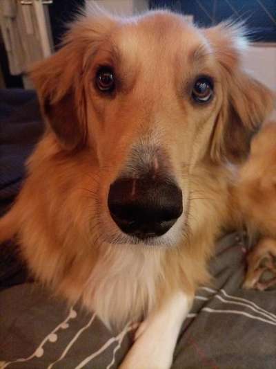 Fotochallange Nr. 57     PORTRÄT.   Beendet!!!!!!!!-Beitrag-Bild