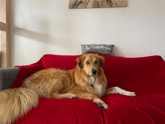 11. Farben Foto Challenge Rot-Beitrag-Bild