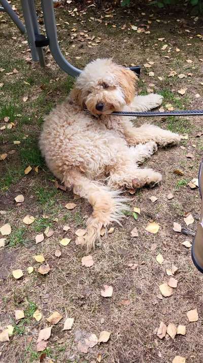 Doppelgänger gesucht !-Beitrag-Bild