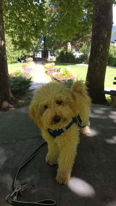 Doppelgänger gesucht !-Beitrag-Bild