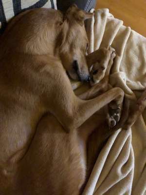 Die unbequemsten und lustigsten Schlafpositionen-Beitrag-Bild