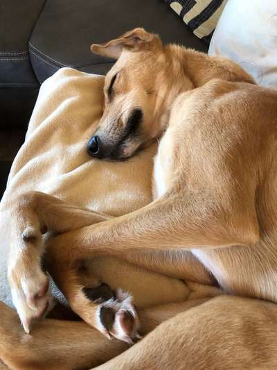 Die unbequemsten und lustigsten Schlafpositionen-Beitrag-Bild