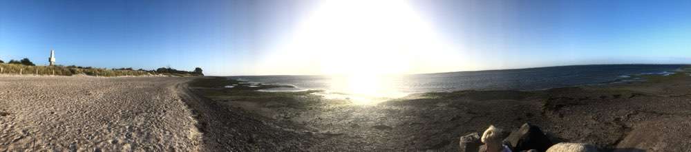 Windhunde - Treffen der besonderen Schönheiten
HERZLICH WILLKOMMEN-Beitrag-Bild