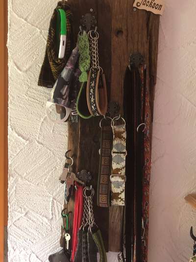 Windhunde - Treffen der besonderen Schönheiten
HERZLICH WILLKOMMEN-Beitrag-Bild