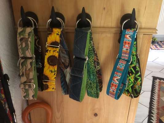 Windhunde - Treffen der besonderen Schönheiten
HERZLICH WILLKOMMEN-Beitrag-Bild