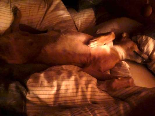 Die unbequemsten und lustigsten Schlafpositionen-Beitrag-Bild